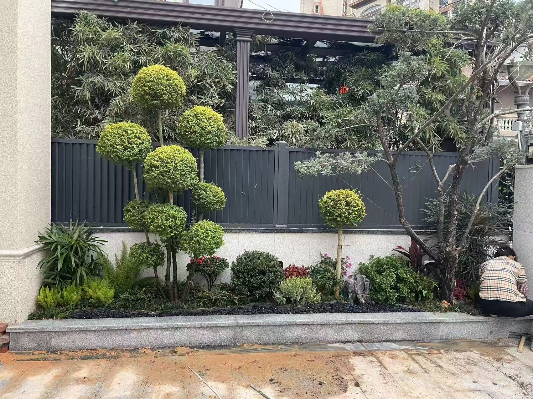 庭院植物修剪與養護